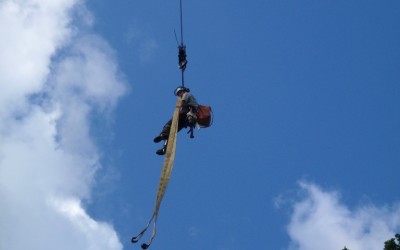 Crane dismantling