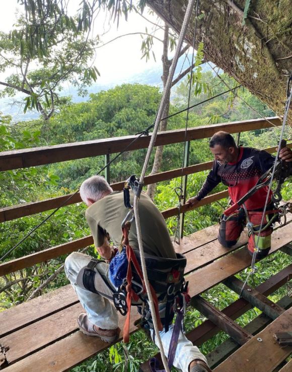 Arborists building a tree platform in Costa Rica